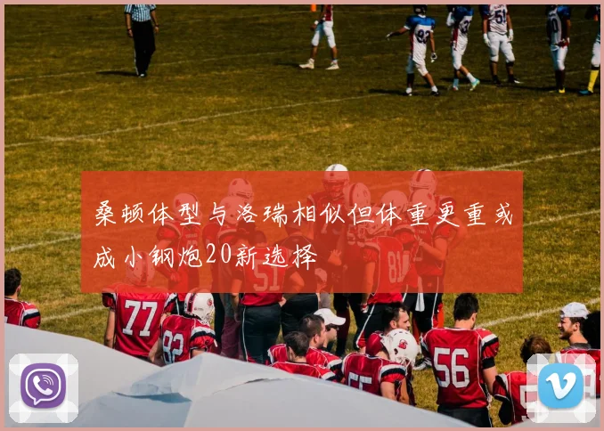 桑顿体型与洛瑞相似但体重更重或成小钢炮20新选择